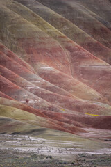 Beautiful and colorful landscape of the Painted Hills in Eastern Oregon, near John Day. - 786751153