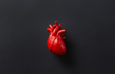 Anatomical model of the human heart on black background. Selective focus, copy space