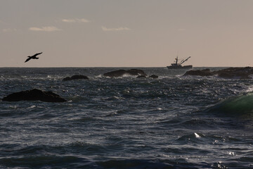 A bird flies over the ocean with a fishing boat in the background. The sky is cloudy and the water is choppy