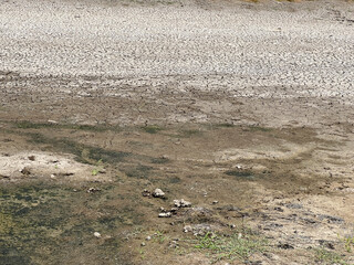 the surface is a dry crack soil in country Thailand