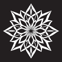 Obraz premium Round, square, dotted, floral, and beautiful ancient geometric patterns adorn simple black and white symmetrical texture.