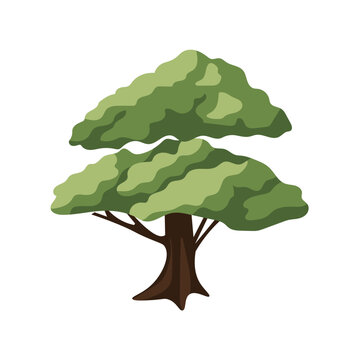 Green lush tree vector illustration, nature element design, oak tree image