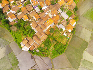 Aerial shot of the village surrounded by large rice fields. Aerial view of settlements in the rice...