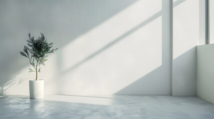 Fototapeta premium Minimalist photography background