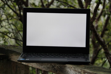 laptop in the park