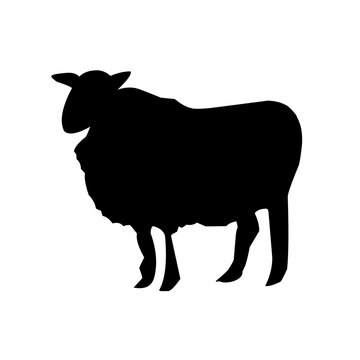 recommend clip art: Sheep silhouette vector illustration