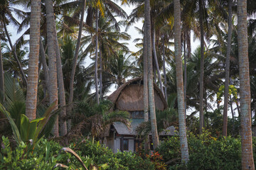 Fototapeta na wymiar Tropical Beach House Hidden Among Palm Trees in Bali