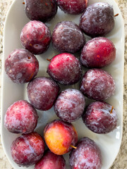 Fresh Plums on a Plate in a Bright Modern Kitchen Setting