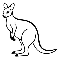 kangaroo illustration