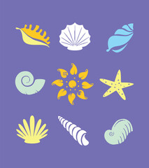 Colorful vector illustration of seashells in graphic style.