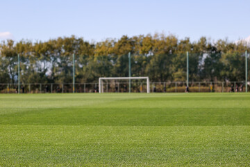 天然芝とサッカーゴール