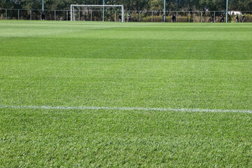 天然芝とサッカーゴール
