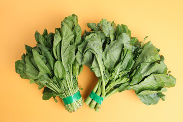 Bunch of Mustard Leaves on Yellow Background. Chinese Food Vegetable 