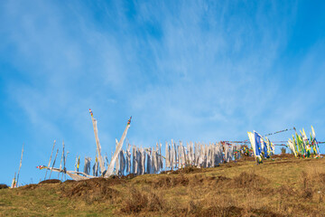Lots of prayer flags flying. in the wind
