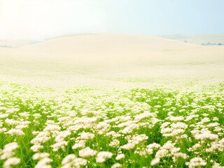 Obraz premium 민들레, 봄, flower