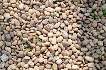 Top Views of Many pebbles on the floor in the garden for design and decoration at Thailand.