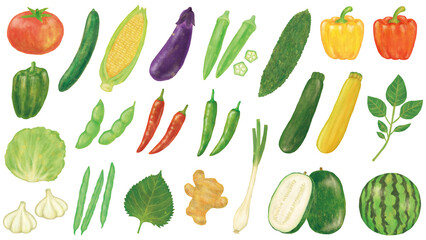 夏野菜のイラストセット