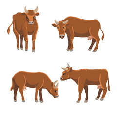 vector drawing brown cows, farm animal isolated at white background, hand drawn illustration