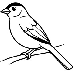 bird on a branch  vector illustration