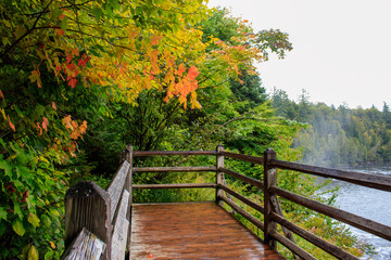 Wooden bridge in autumn forest located in the Tahquamenon Falls State Park, Michigan