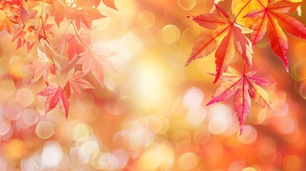 magine web banner design for autumn season and end year activity with red and yellow maple leaves with soft focus light banner background 