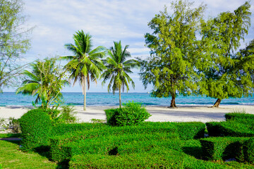 Beach in Sihanoukville. Palm trees and blue sea