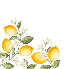 Lemon frame illustration. hand-drawn citrus. - 786819755