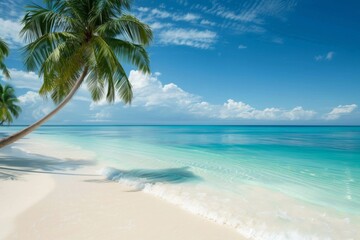 Fototapeta na wymiar beach with palm trees, landscape