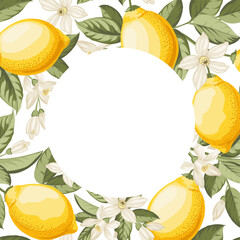 Lemon frame illustration. hand-drawn citrus. - 786820177