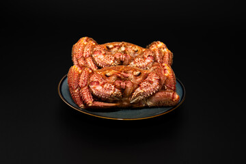 正面を向く毛蟹