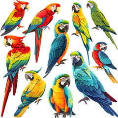 Clipart illustration featuring a various of parrot on white background. Suitable for crafting and digital design projects.[A-0002]