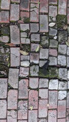 ruines stone flooring