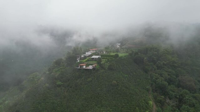 Flying over green mountain ridges of a coffee farm located in the Coffee Axis in Bajo Tablazo near the city of Manizales in the Caldas department of Colombia