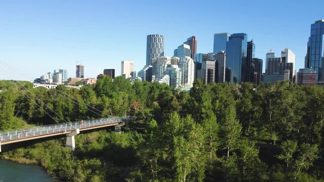 Downtown Calgary, Alberta, Canada skyline. Wide aerial drone view. Panorama from the walking bridge over the  Bow River on a sunny blue skies day. Prince Island Park.