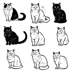Obraz premium set of cats silhouettes, set of cats on white