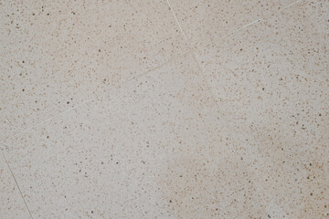 Interior tiles with a design that looks like small black grains of sand have been sprinkled on them
