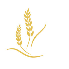 Agriculture wheat vector icon