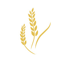 Agriculture wheat vector icon