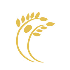 Agriculture wheat vector icon