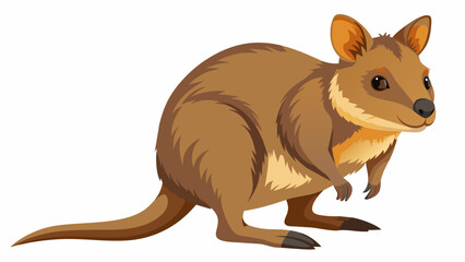 Funny cute Quokka, Setonix brachyurus as Short-tailed Scrub Wallaby with Rounded Ears Standing on Hind Legs and Smiling Vector Illustration