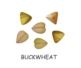 green buckwheat seeds hand drawn in cartoon style