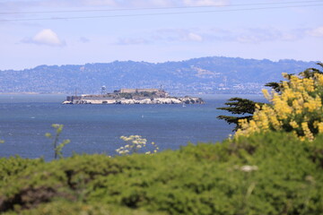 view of bay alcatraz san francisco, usa