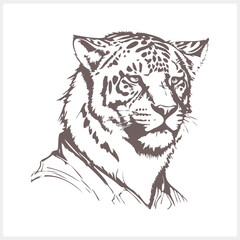 Sketch tiger tattoo isolated Animal clipart Vector stock illustration EPS 10