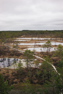 Viru raba vaatetorn national park estonia 