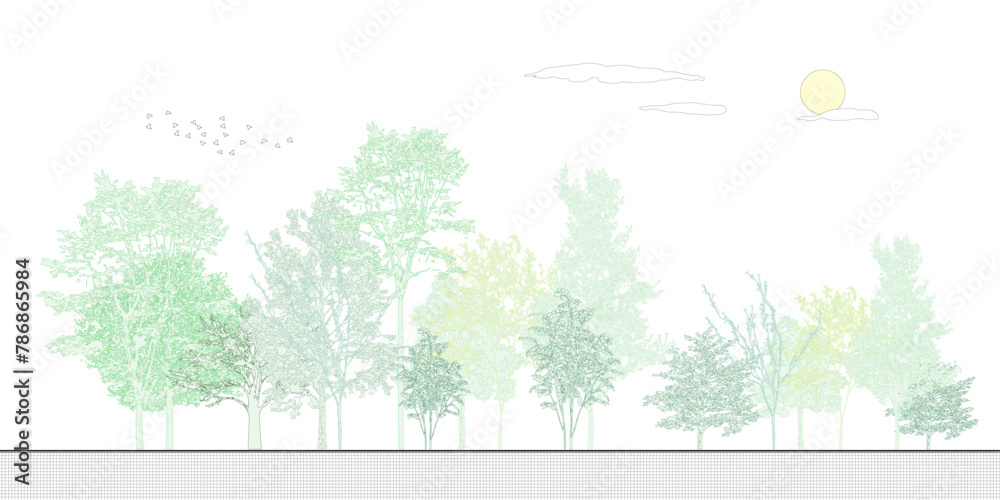 Poster architectural drawings, minimal style cad tree line drawing, side view, set of graphics trees elemen