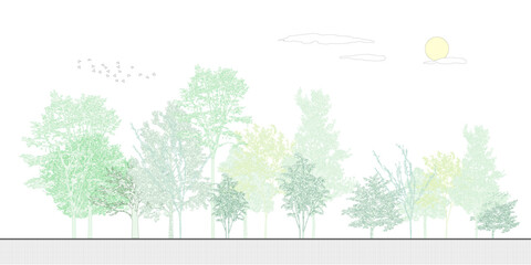 Architectural Drawings, Minimal style cad tree line drawing, Side view, set of graphics trees elements outline symbol for landscape design drawing. Vector illustration in stroke fill in white.