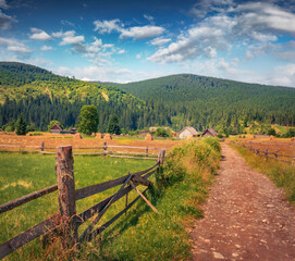 Fototapeta na wymiar Spectacular summer scene of Lazeshchyn village with old dirt road, Ukraine, Europe. Picturesque green view of Carpathians. Nice morning scene of contryside. Beauty of countryside concept background..