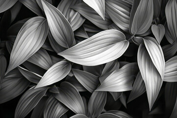 Monochrome Magic: Silhouette of Leaves in Greyscale Harmony