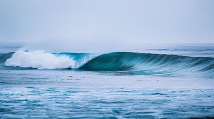 A large wave in the ocean with a white crest and a blue-green body.