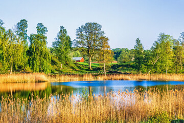 Beautiful lake with reeds in a rural landscape - 786879562